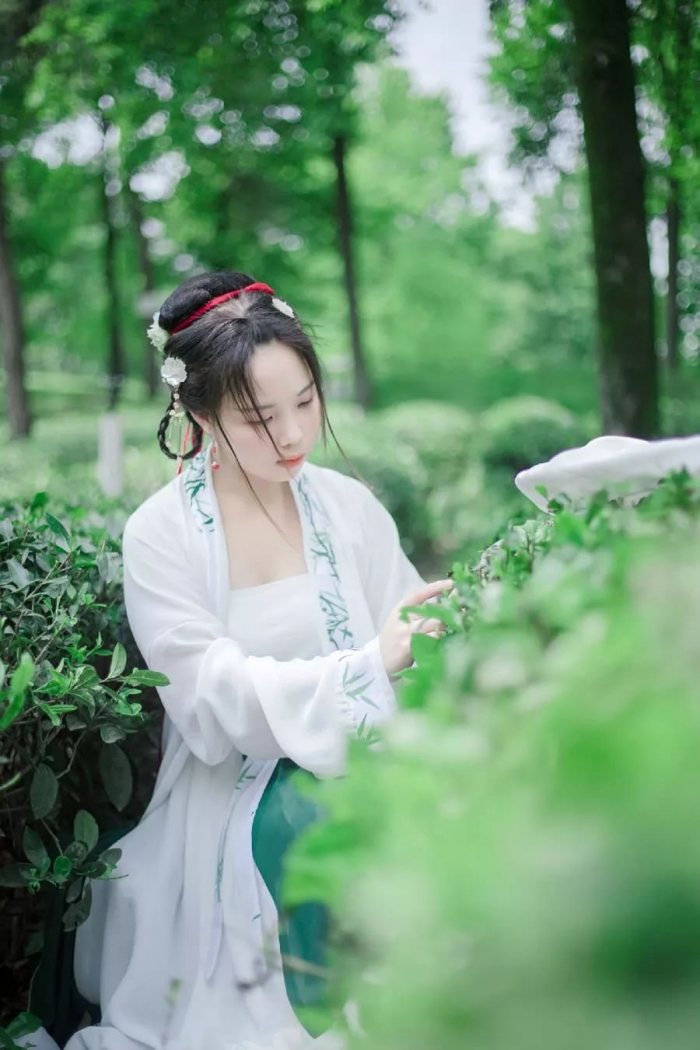 【汉服美图】山中何事,松花酿酒,春水煎茶-图片8