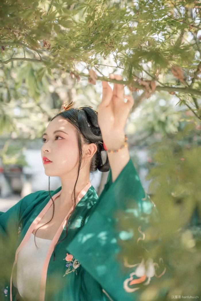 【汉服美图】有美一人,清扬婉兮-图片15