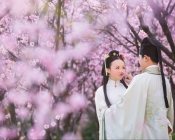 【汉服婚拍】有一种思念，才下眉头，却上心头