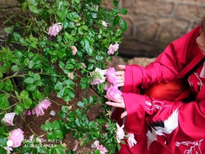 带着汉服去丽江-图片5