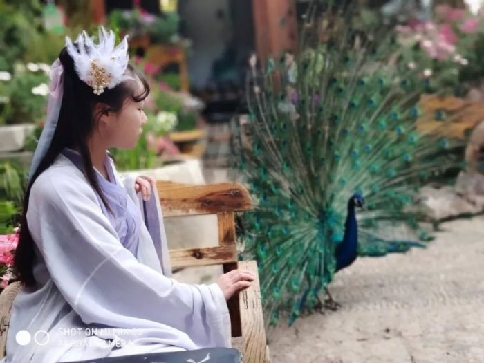 带着汉服去丽江-图片16