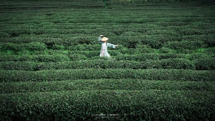 【汉服美图】汉服,从来都不是一场可思不可及的梦-图片5