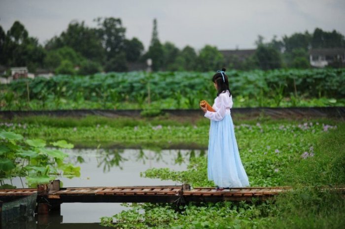 美爆了!邛崃高埂上演“荷花仙子”汉服秀-图片2