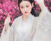 【汉服美图】雨·梅