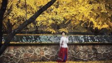 选择最适合自己的汉服——给微胖袍子的穿着建议