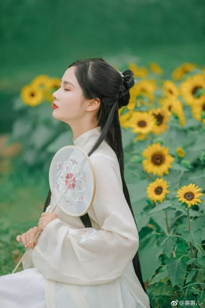 奥森的向日葵-图片4