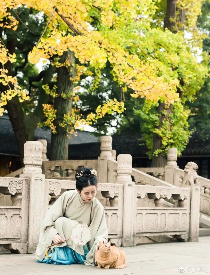 【汉服美图】银杏-图片4