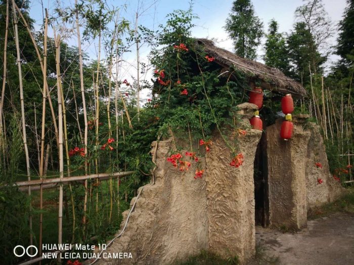 衡阳：戊戌年乞巧节，湘聚七夕-图片4