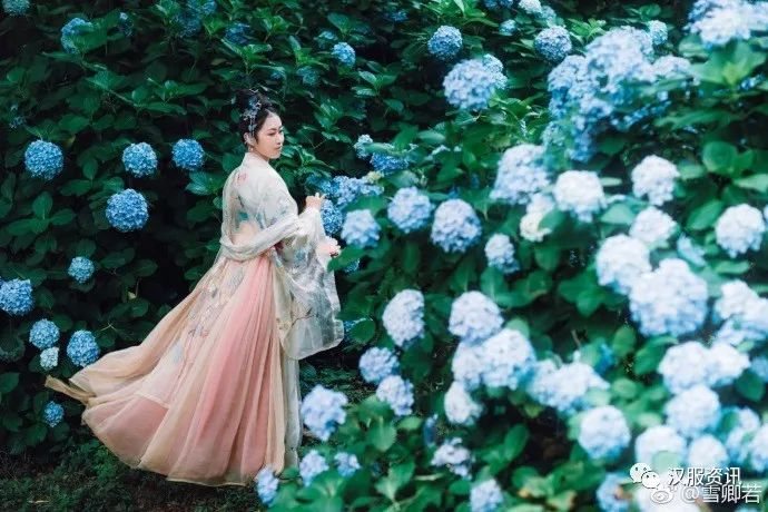 层云堆雪,繁花锦簇,此夏无有尽时!-图片4