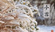 【传统节气】小雪丨今日江山又小雪，诸位看官记得多加件衣裳