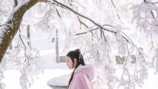 【庐山雪】雪与汉服 点缀着这个冬天的美