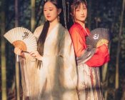 【汉服摄影】暗香飘影遇紫藤