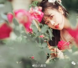 【汉服美图】何须浅碧轻红色，自是花中第一流