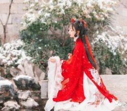 【汉服美图】梅花雪