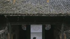【汉服摄影】《无题》