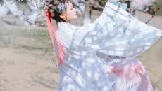【汉服摄影】百花图·梅