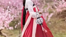 【清明节】着一袭汉服，赴一场春的约会 ​