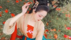 【汉服摄影】山茶