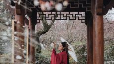 【汉服摄影】寒雀满疏篱