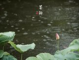 【汉服美图】今日芒种