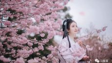 【汉服美景】樱桃花参差，香雨红霏霏