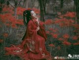 【汉服私影】彼岸花开