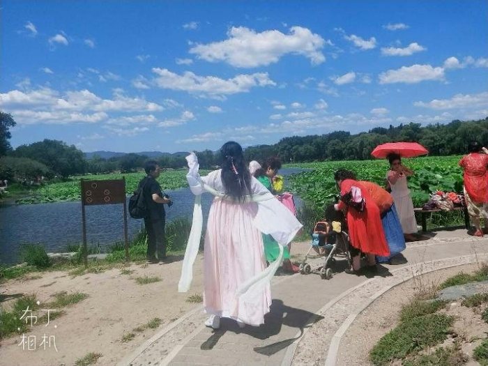 图片动态：萌新-图片5