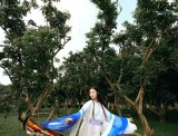【汉服摄影】森林里一抹蓝色忧郁