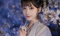【汉服夜景】春光浪属夜樱花