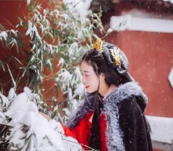 【汉服小仙女】霜雪吹满头，也算是白首。