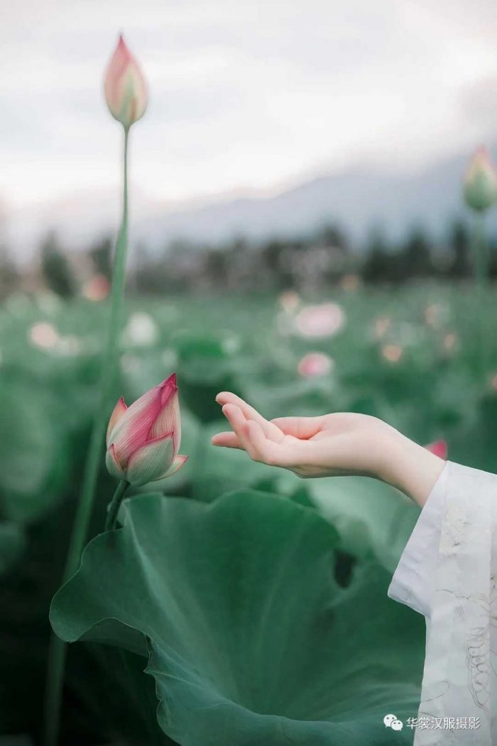 图片动态:【大理华裳古风摄影】怎么在夏天拍出好看的汉服组?
-图片7
