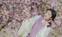 【汉服摄影】樱花树下