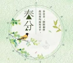 【节气】明日春分，莫负好时光。