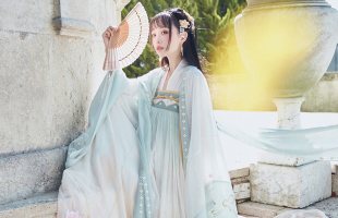 【十三余 小豆蔻儿】[婴宁] 重工刺绣广袖大袖衫绣花汉服外套女装