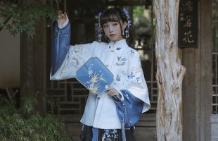 【十三余 小豆蔻儿】[归梦星影] 短袄方领半袖刺绣明制汉服女秋冬