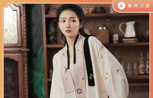 重回汉唐堂前燕原创正品汉元素改良汉服对襟衫宋裤日常中国风夏季